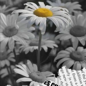 Meet your Posher, River